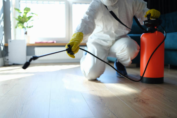 Best Flea Control Services  in Nyon Lake, CA
