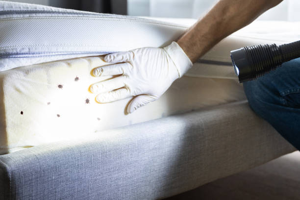 Nyon Lake, CA Pest Control Pros
