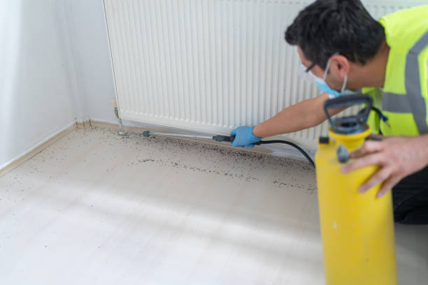 Best Pest Inspection Near Me  in Nyon Lake, CA