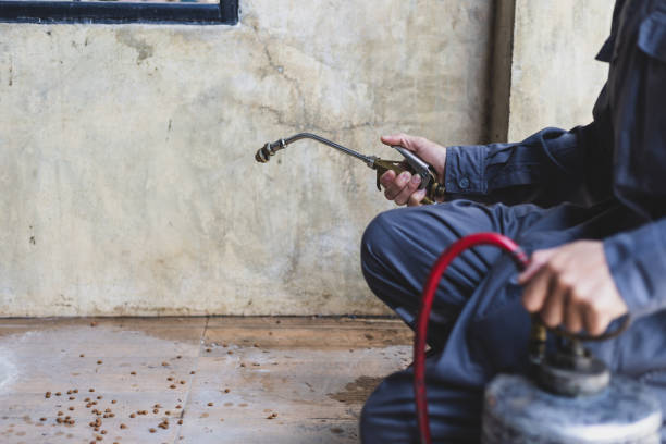 Best Termite Control Services  in Nyon Lake, CA