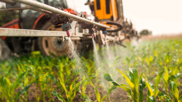 Best Ant Control Services  in Nyon Lake, CA